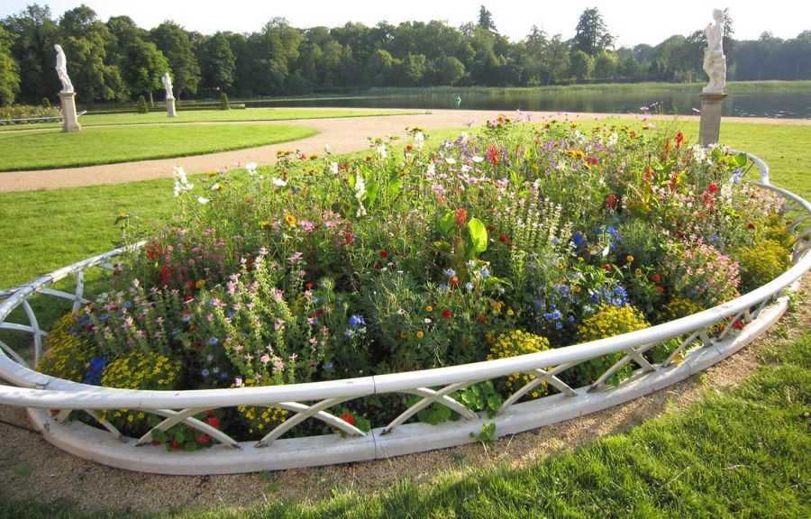 Blumenwiese Schlosspark Rheinsberg