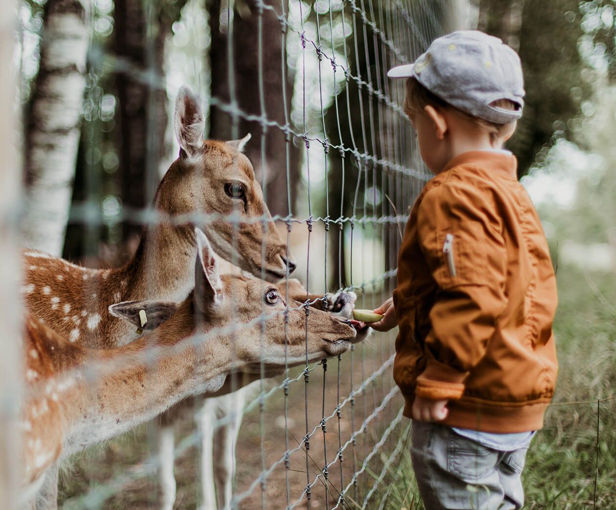 Tierpark Kunsterspring
